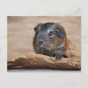 Postal Pintura de cerdo de Guinea pequeña