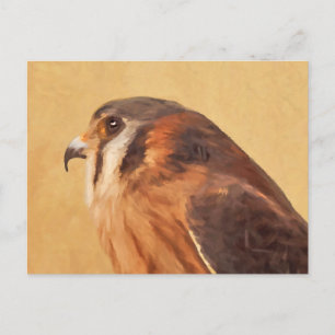 Postal Pintura de cernícalo estadounidense - Arte de pája