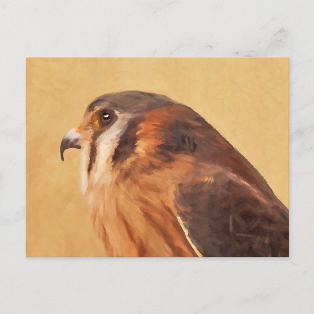 Postal Pintura de cernícalo estadounidense - Arte de pája (Anverso)
