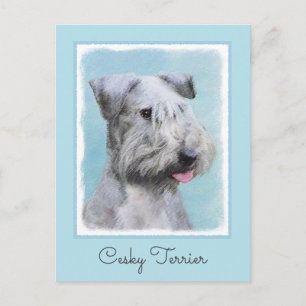 Postal Pintura de Cesky Terrier - Arte de Perro Original.