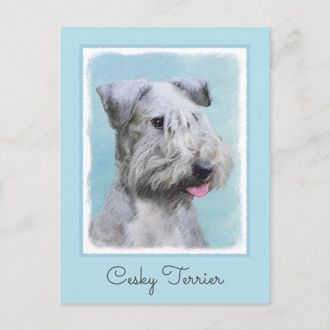 Postal Pintura de Cesky Terrier - Arte de Perro Original. (Anverso)