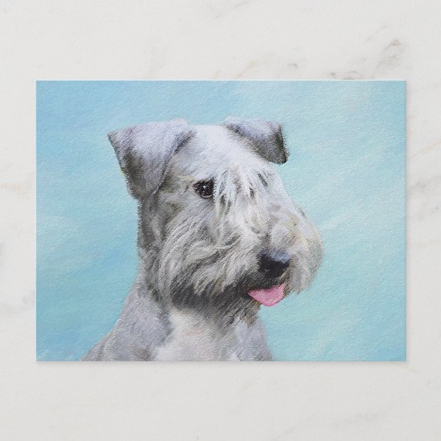 Postal Pintura de Cesky Terrier - Arte de Perro Original. (Anverso)