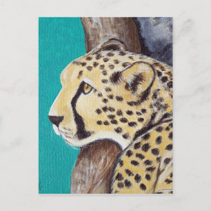 Postal Pintura de Chita