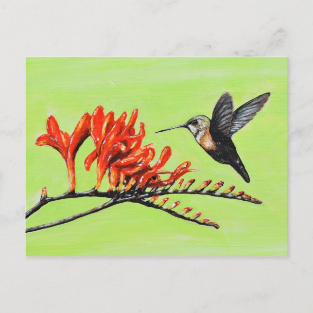 Postal Pintura de colibrí y crocosmia (Anverso)
