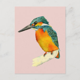 Postal Pintura de color de agua de aves de Kingfisher