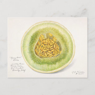 Postal Pintura de color de agua de frutas de melón (Cucum