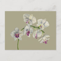 Pintura de color de agua de orquídeas