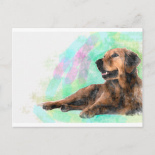 Postal Pintura de color de agua de perro de Golden Retrie