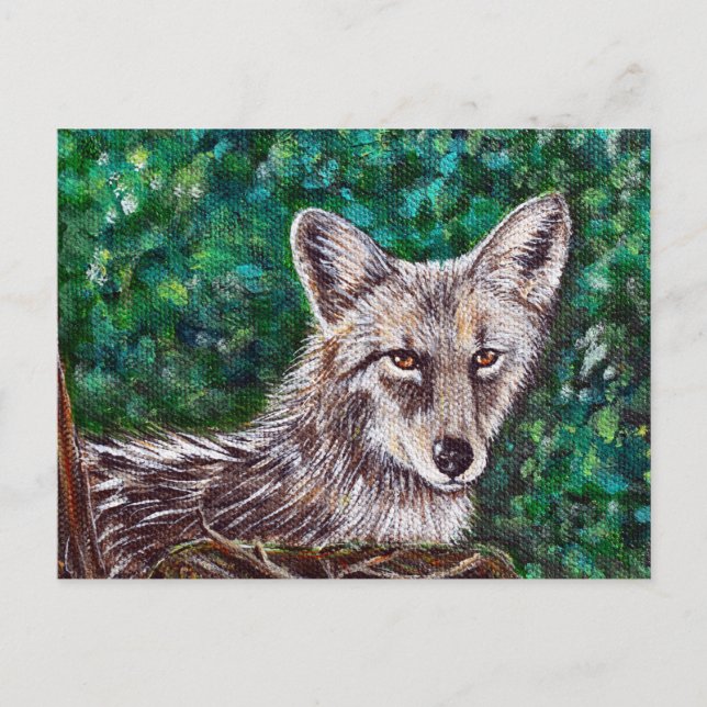 Postal Pintura de Coyote en el patio trasero (Anverso)
