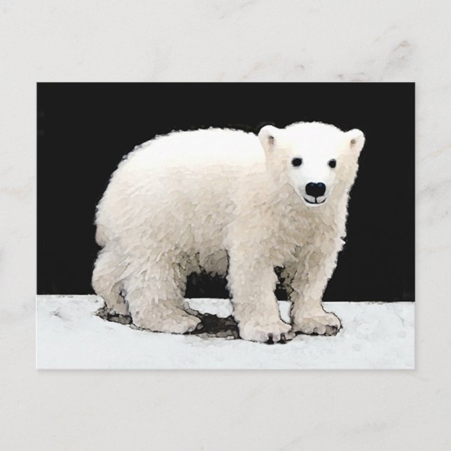 Postal Pintura de Cubo de Oso Polar - Arte de Vida Silves (Anverso)