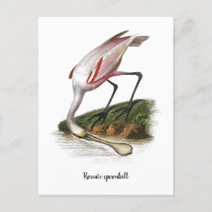 Postal Pintura de cucharada de rosas pequeña