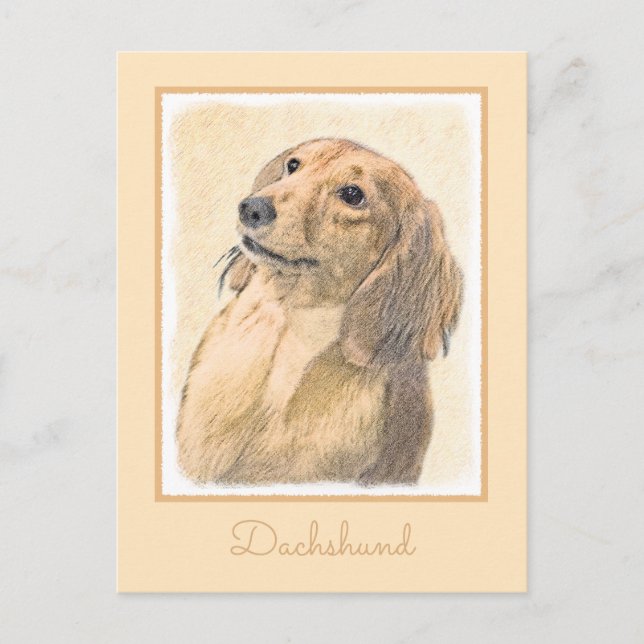 Postal Pintura de Dachshund (de cabello largo) - Arte Per (Anverso)