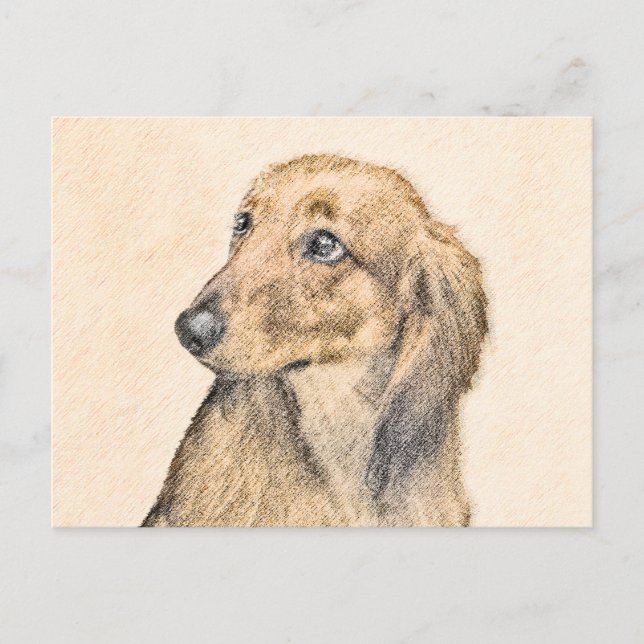 Postal Pintura de Dachshund (de cabello largo) - Arte Per (Anverso)