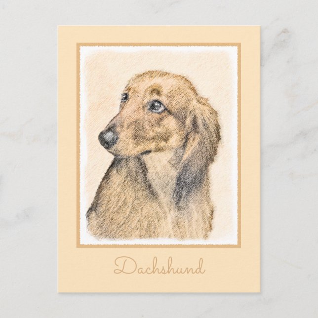 Postal Pintura de Dachshund (de cabello largo) - Arte Per (Anverso)