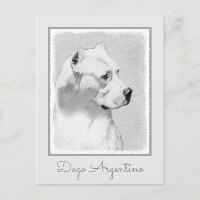 Postal Pintura de Dogo Argentino - Arte Original de Perro (Anverso)