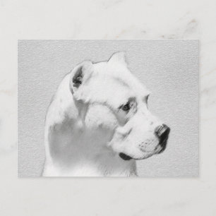 Postal Pintura de Dogo Argentino - Arte original del perr