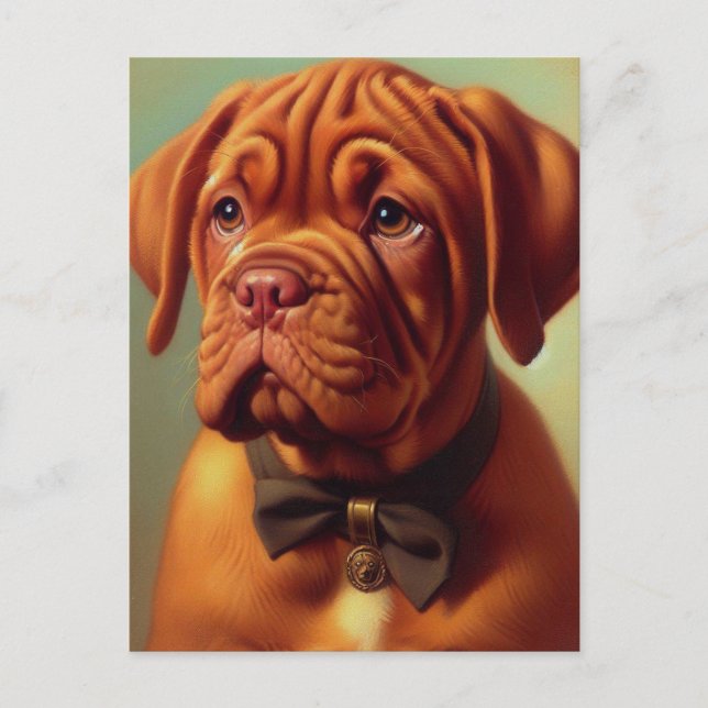 Postal Pintura de Dogue de Burdeos (Anverso)