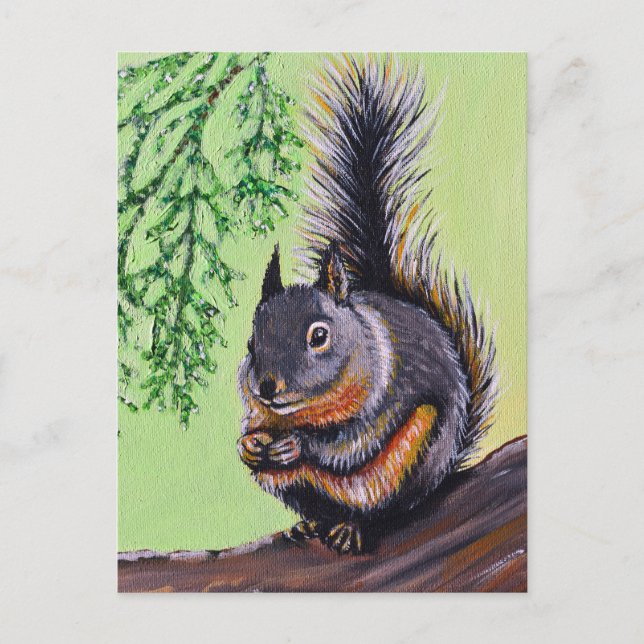Postal Pintura de Douglas Squirrel (Anverso)