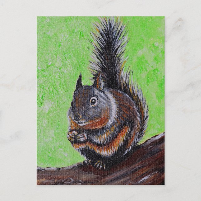 Postal Pintura de Douglas Squirrel 2 (Anverso)