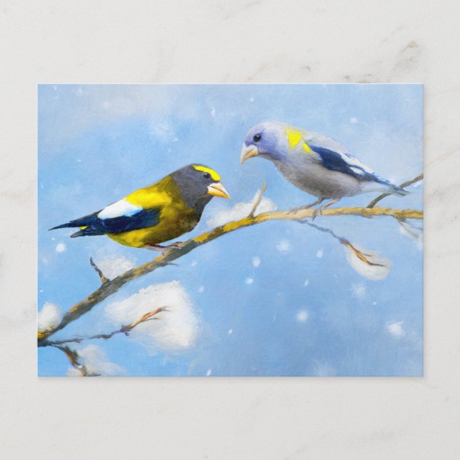 Postal Pintura de Evening Grosbeak - Arte Original de Per (Anverso)