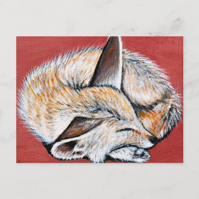 Postal Pintura de Fennec Fox (Anverso)