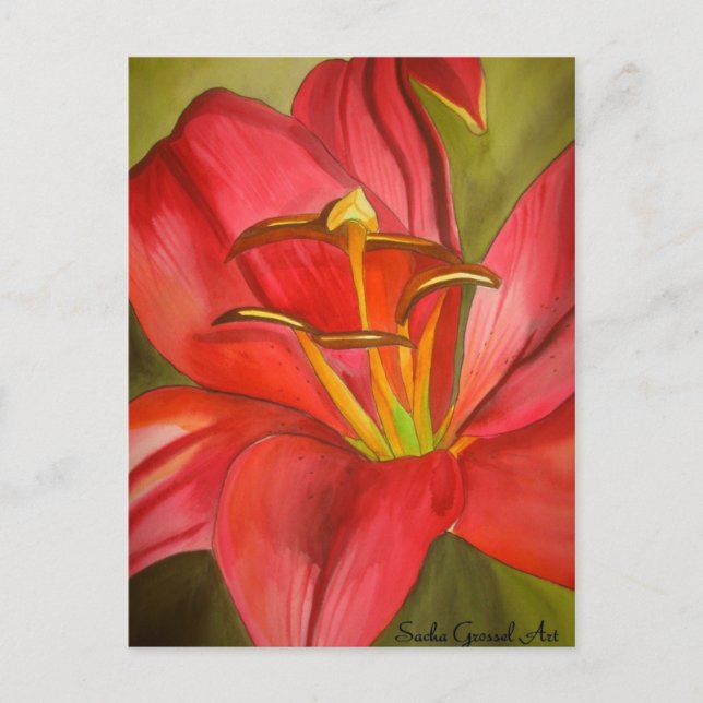 Postal Pintura de flor de acuarela de Red Alert Lily (Anverso)