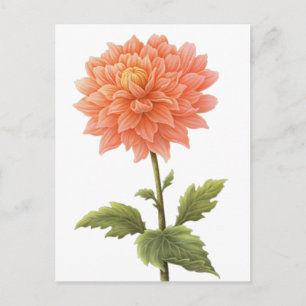 Postal Pintura de Flor de Dalia de Naranja Melocotón Flor