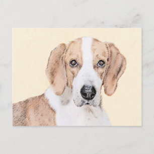 Postal Pintura de Foxhound estadounidense - Arte de Perro