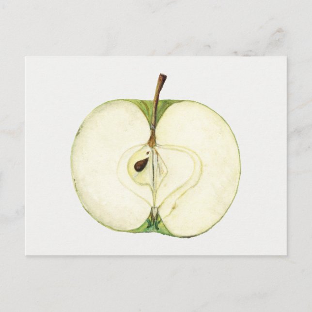 Postal Pintura de fruta de manzana verde vintage (Anverso)