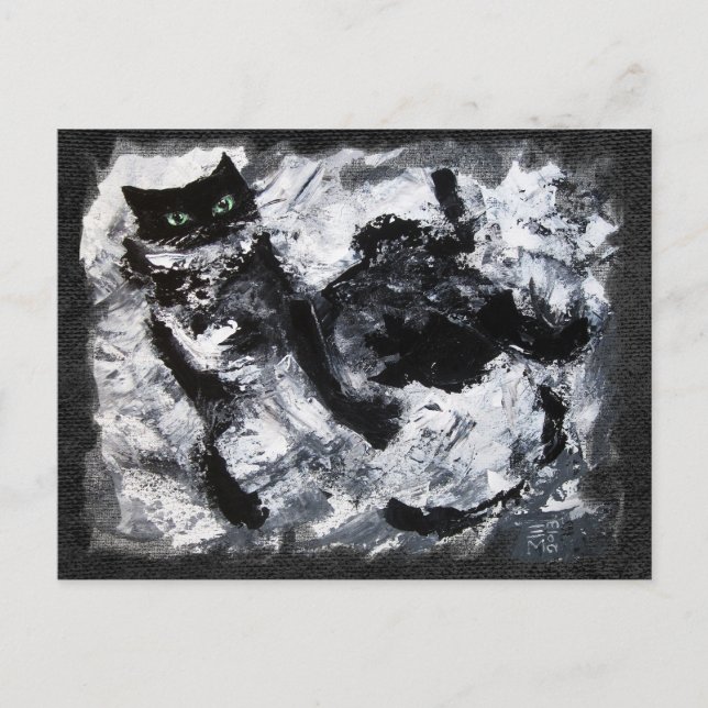 Postal Pintura de gato blanco y negro (Anverso)