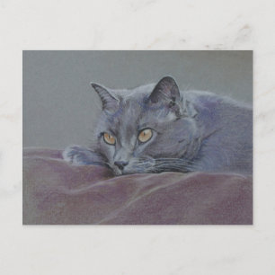 Postal pintura de gato de acorazado azul británico