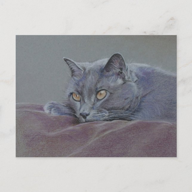 Postal pintura de gato de acorazado azul británico (Anverso)