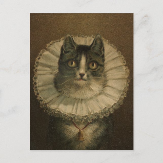Postal Pintura de gato de época del siglo XIX (Anverso)