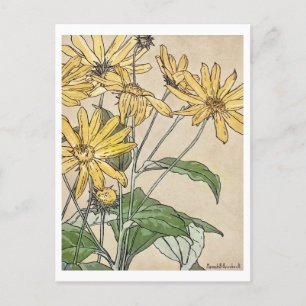 Postal Pintura de girasoles de Hannah Borger Overbeck