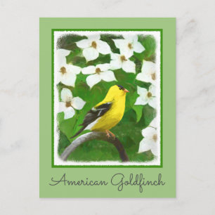 Postal Pintura de Goldfinch - Arte de Perro Original.