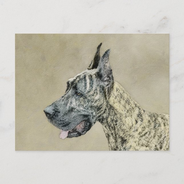 Postal Pintura de gran dano (Brindle) - Arte original del (Anverso)