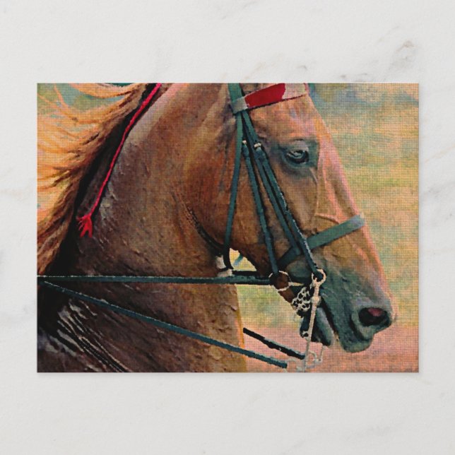Postal Pintura de imitación de la silla de ruedas (Anverso)
