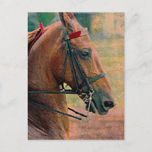 Postal Pintura de imitación de la silla de ruedas