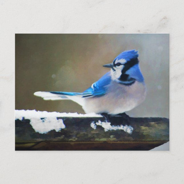 Postal Pintura de Jay azul - Arte de pájaro original (Anverso)