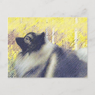 Postal Pintura de Keeshond Aspen - Arte Perro Original Cu