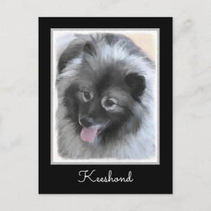 Postal Pintura de Keeshond Bailey - Arte de perros origin