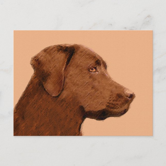 Postal Pintura de Labrador Recuperador (Chocolate) - Arte (Anverso)