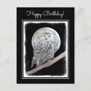 Postal Pintura de lechuza y luna - Arte original de aves