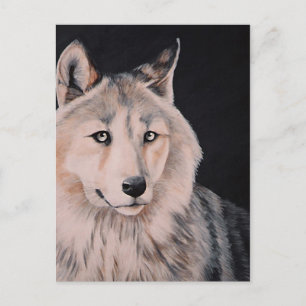Postal Pintura de Lobo Blanco de DiDi