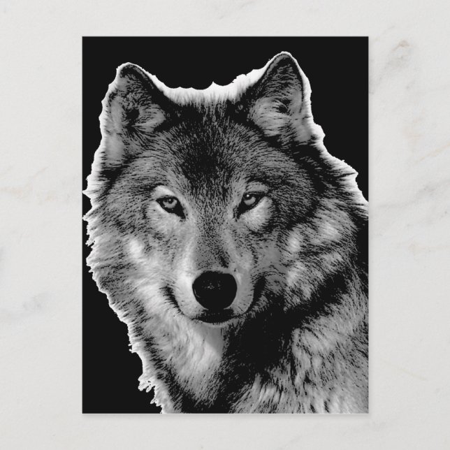 Postal Pintura de Lobo Blanco y Negro (Anverso)