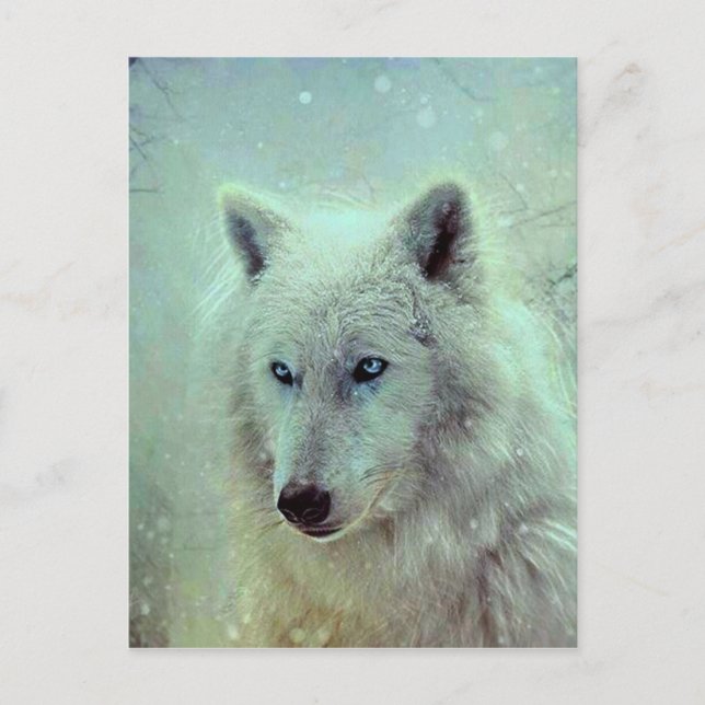 Postal Pintura de lobo de ojos azules (Anverso)