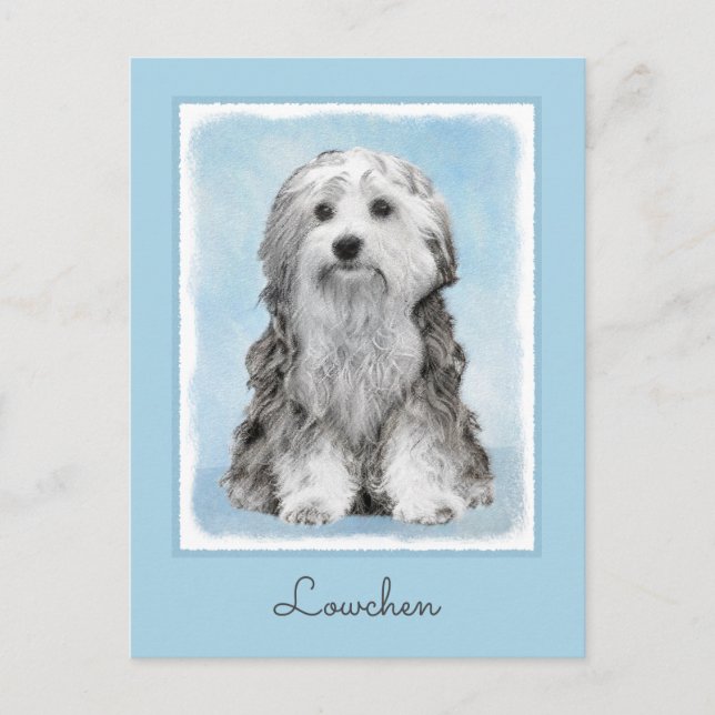 Postal Pintura de Lowchen - Arte de perro original muy li (Anverso)
