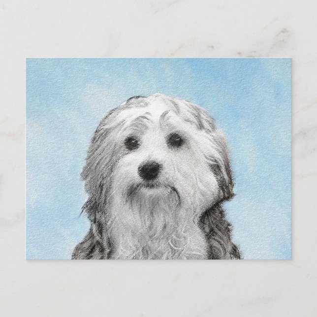 Postal Pintura de Lowchen - Arte de perro original muy li (Anverso)