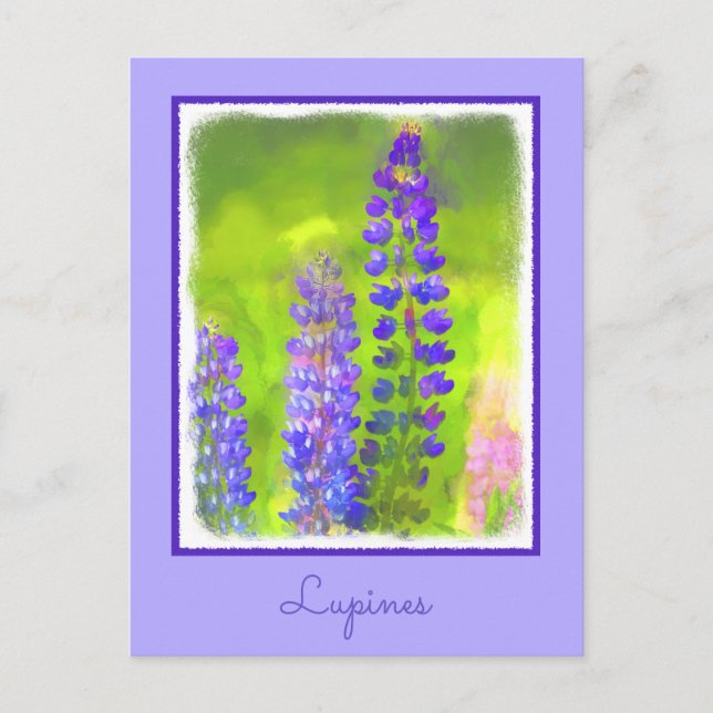 Postal Pintura de Lupine - Arte original de las flores (Anverso)