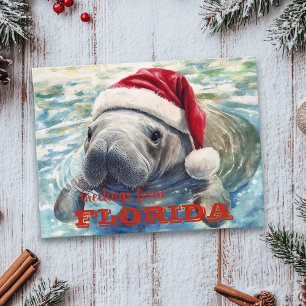 Postal Pintura de Manatí de Florida para Navidad
